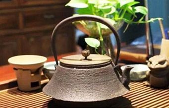 草木精华 闻香识茶 你的茶里 有一幅画