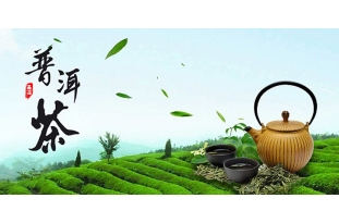 普洱茶消费的常态应该是品饮而不是收藏